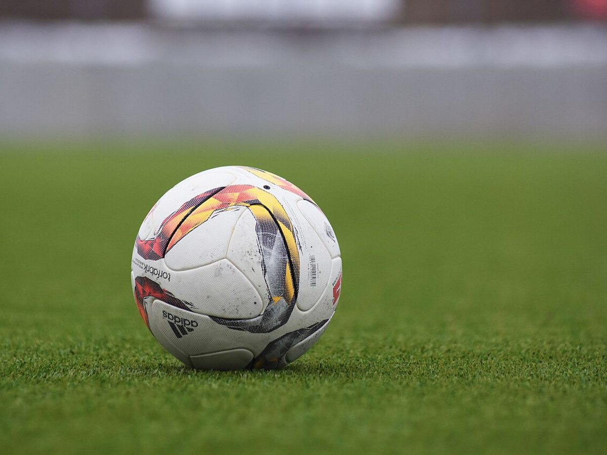 Reference: the playing surface we aim for once the sod has rooted.